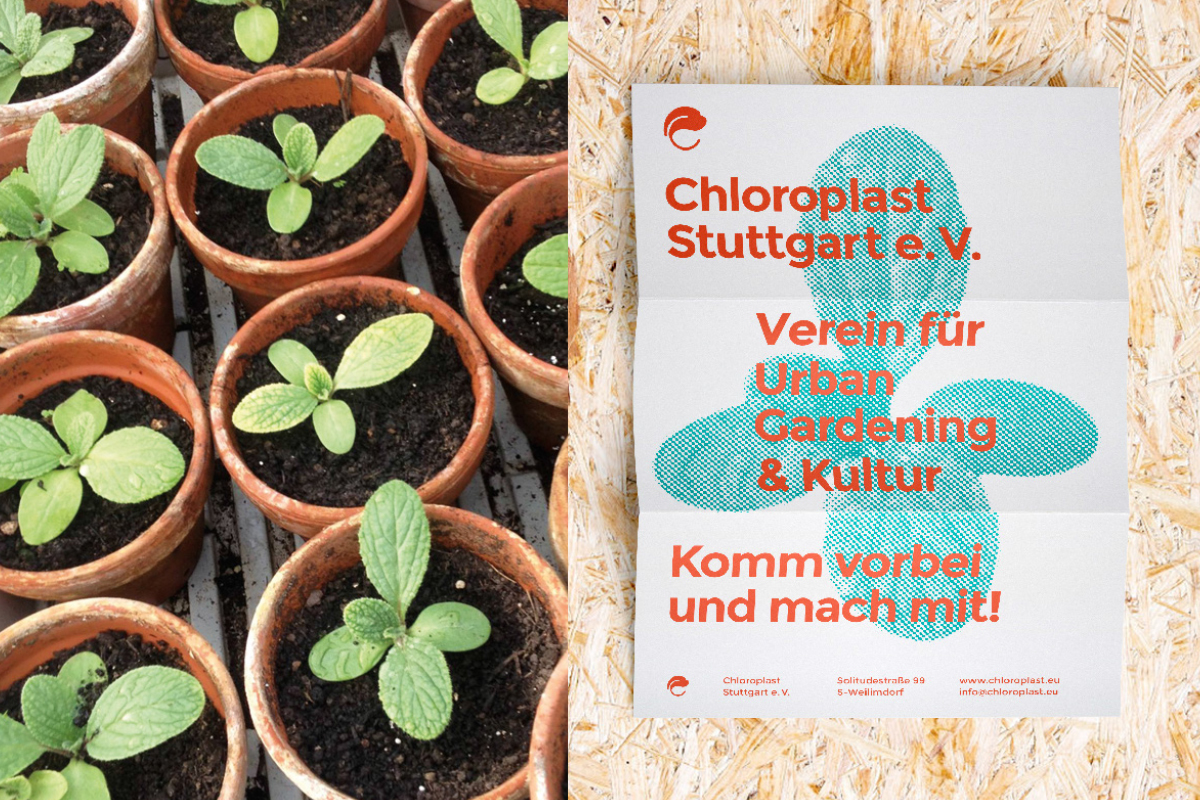 Chloropast Stuttgart
